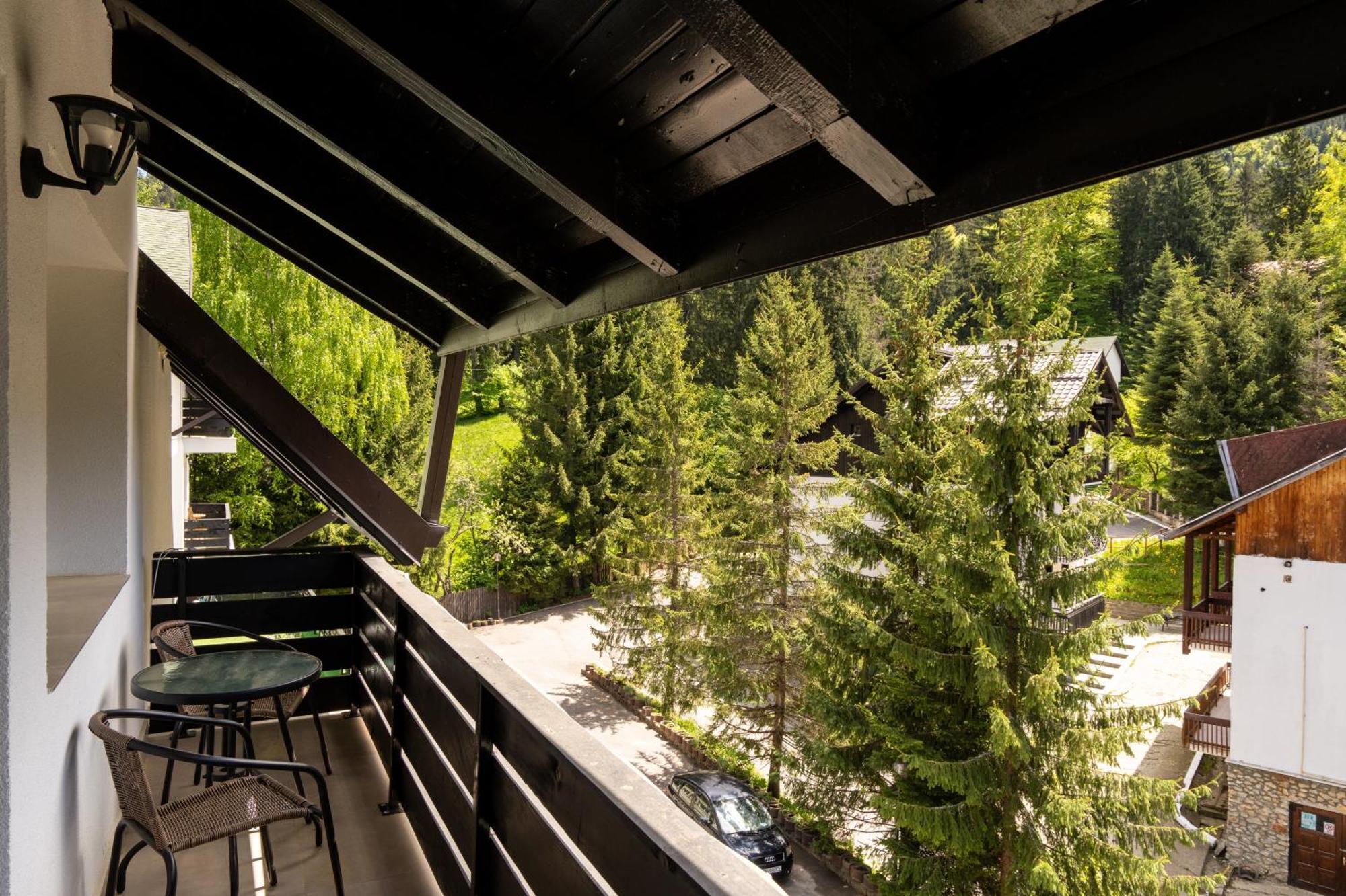 Dinvis Apartments Пояна-Брашов Экстерьер фото